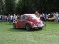 IMG_8501-a